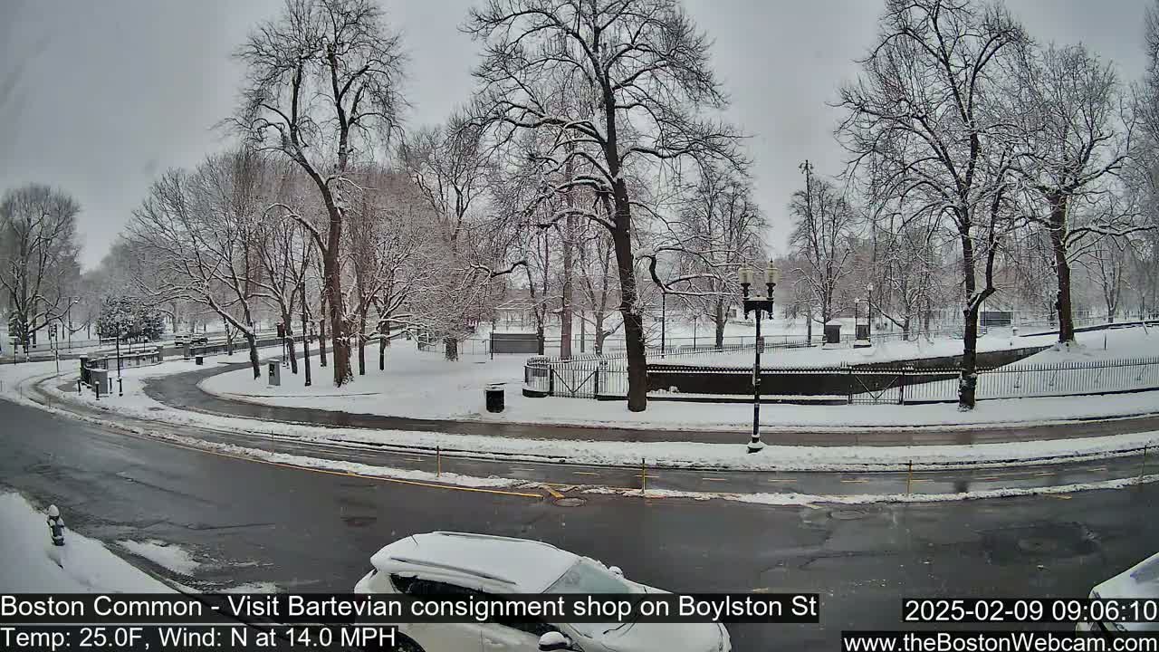 A snow-covered park with bare trees is visible from a street, where a car is partially seen, during a snowfall with a north wind.