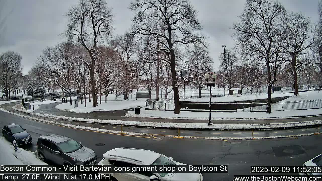 Snow-covered trees and a park surround a snow-covered roadway with several parked cars, under a cloudy sky.