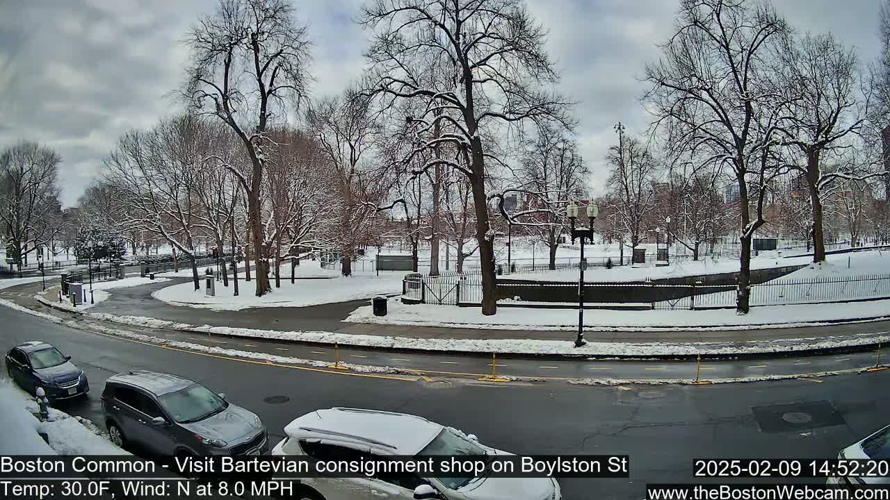 A snow-covered park with bare trees and several cars parked along a road under a cloudy sky.
