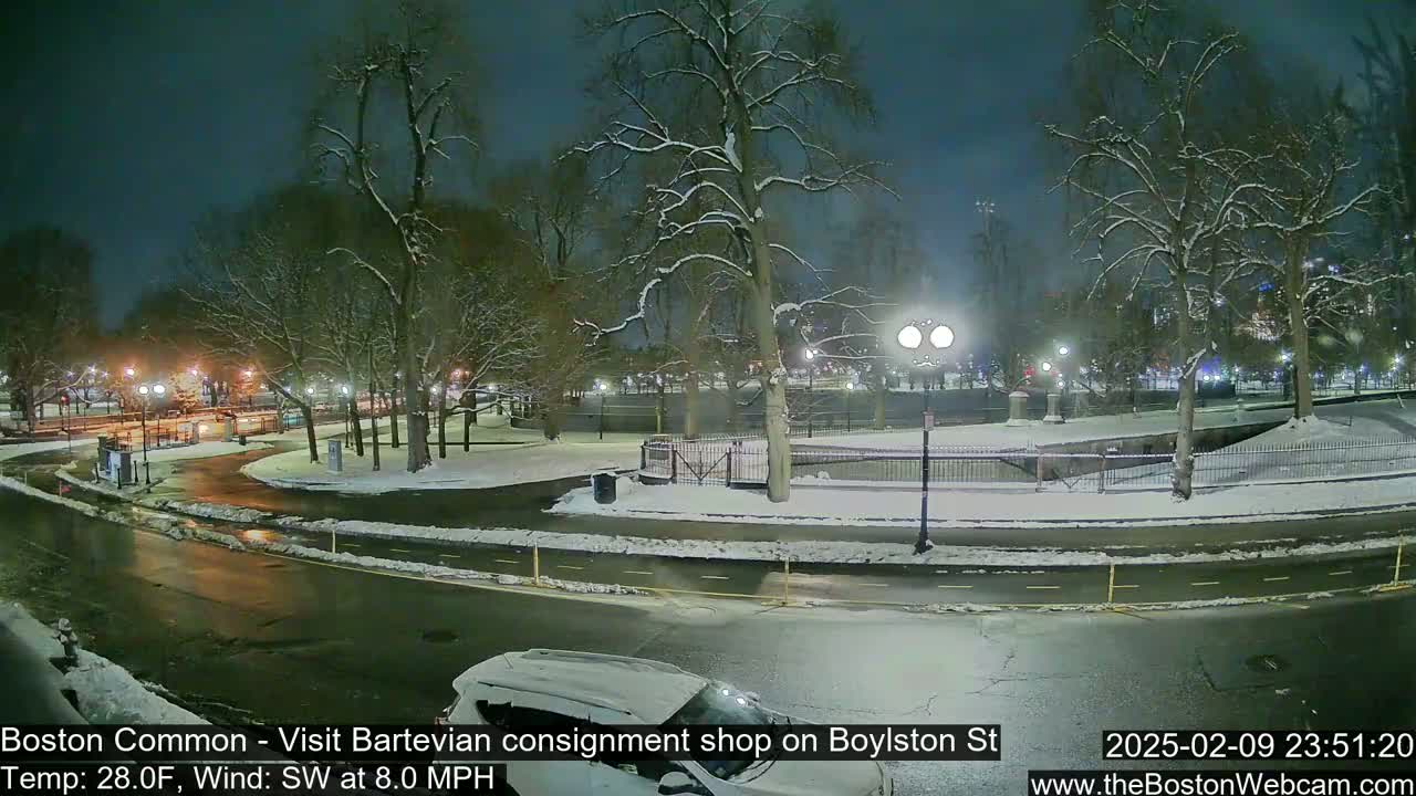 A snow-covered park at night is visible from a street, with some cars parked and streetlights illuminating the scene under a dark sky.