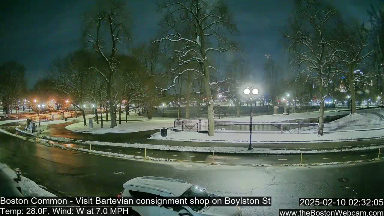 A snow-covered park at night with a road curving through it, illuminated by streetlights.