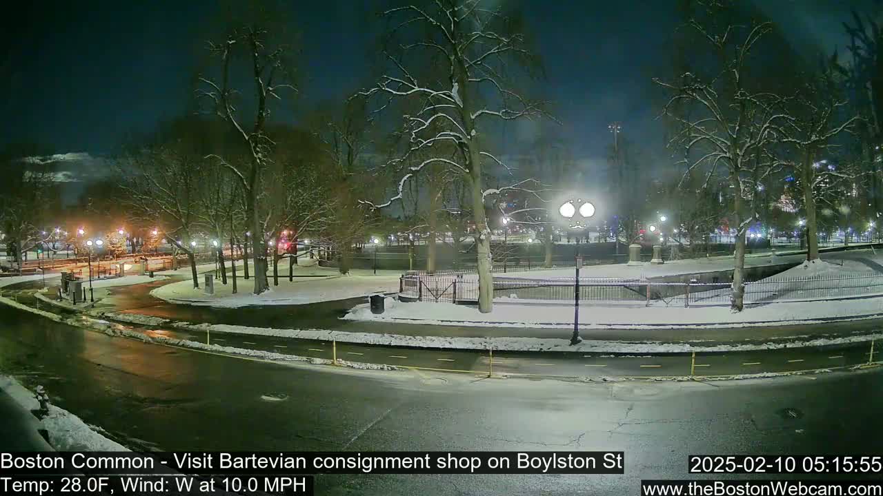 A snow-covered park at night, illuminated by streetlights, with a road curving through it under a dark, mostly clear sky.