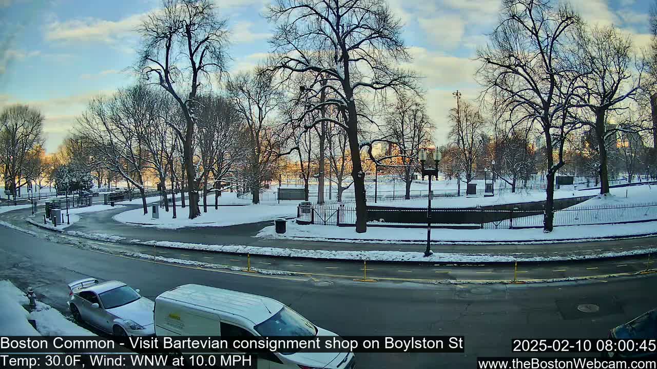 A snow-covered park with leafless trees and a road, on a partly sunny, cold day.