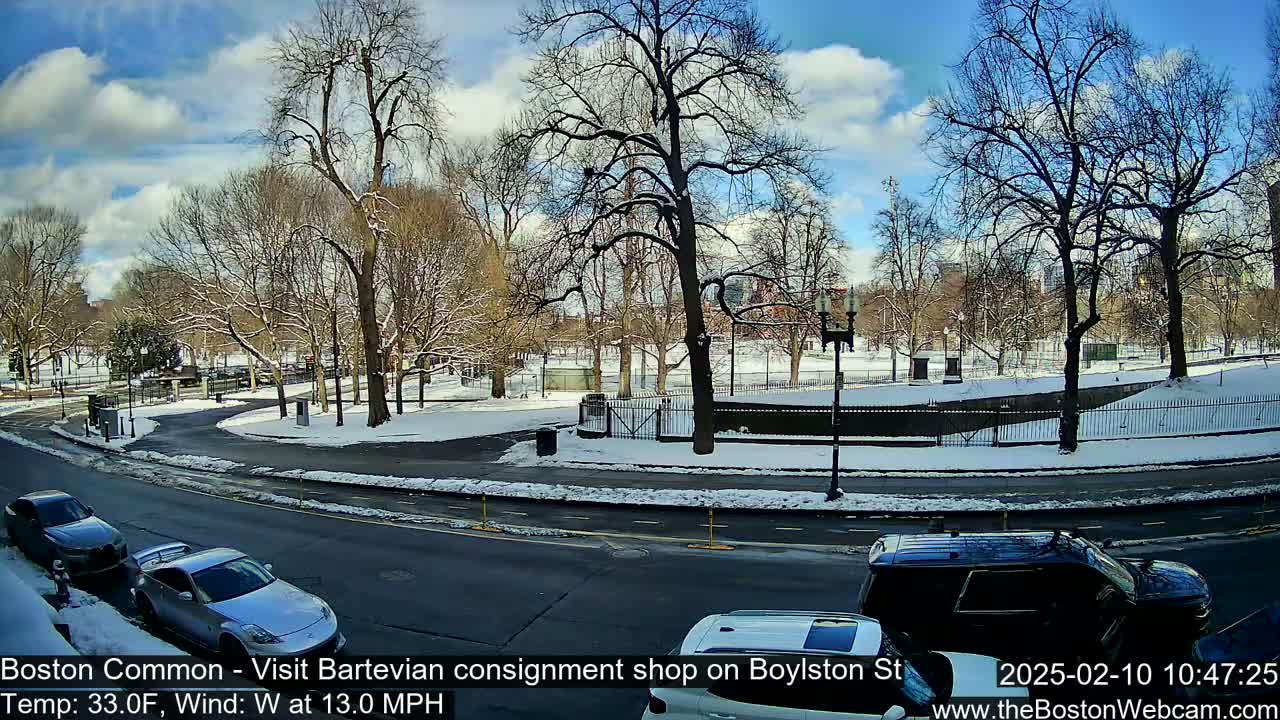 A snow-covered park with bare trees is visible beyond a curved roadway where several cars are parked and driving under a partly sunny sky.