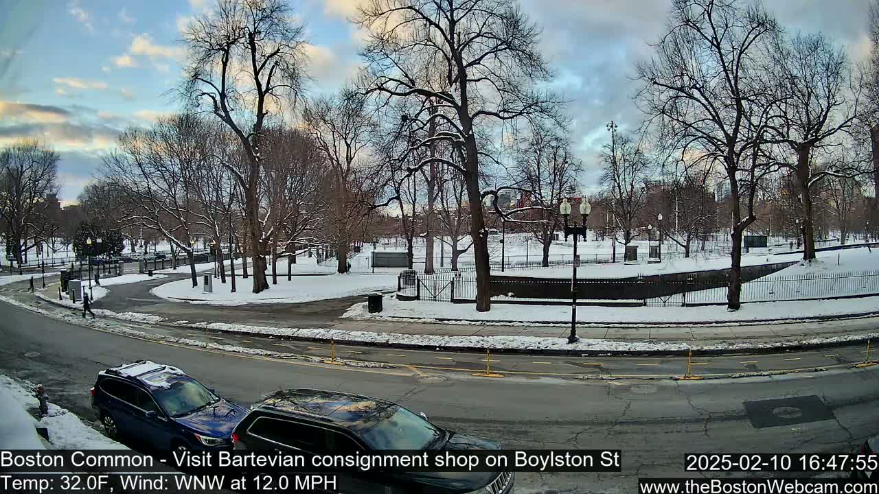 A snow-covered park with bare trees is visible beyond a roadway where two cars are parked, under a partly cloudy sky.