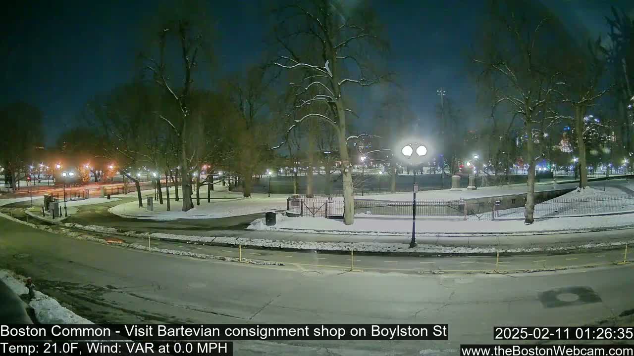 A snow-covered park at night, illuminated by streetlights, with a road curving through it.