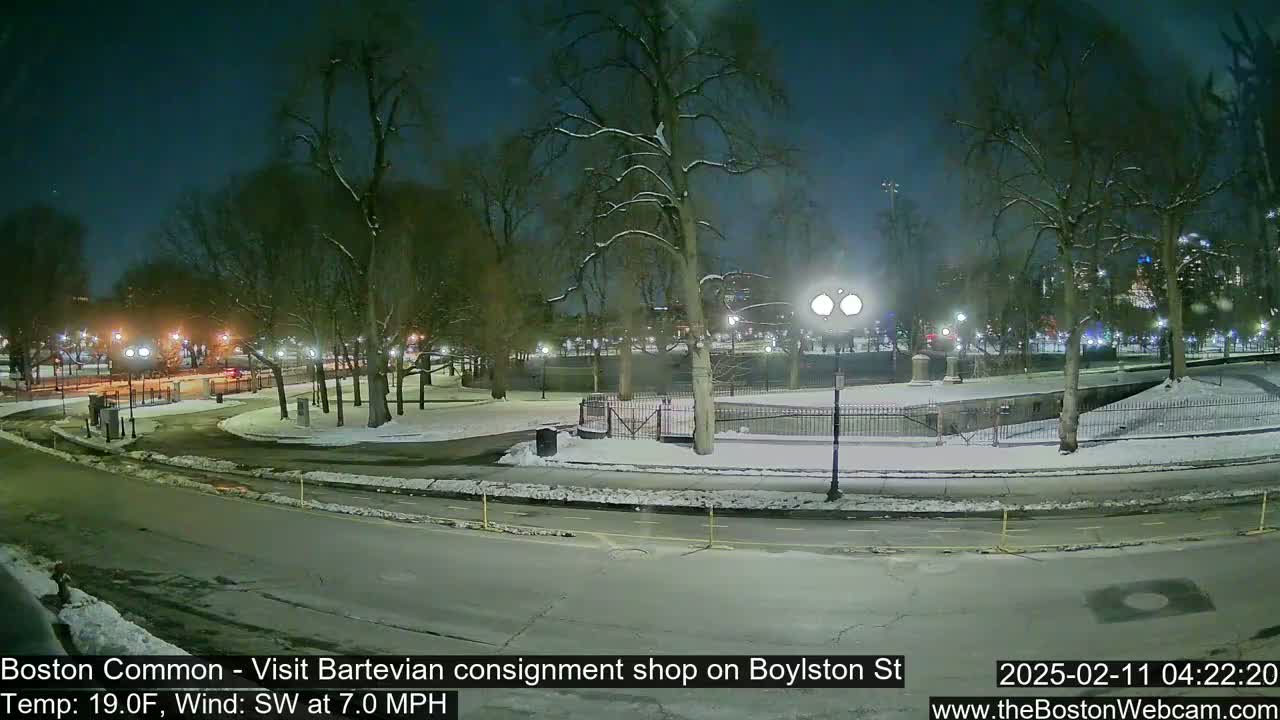 A snow-covered park at night, illuminated by streetlights, with a road curving through it.