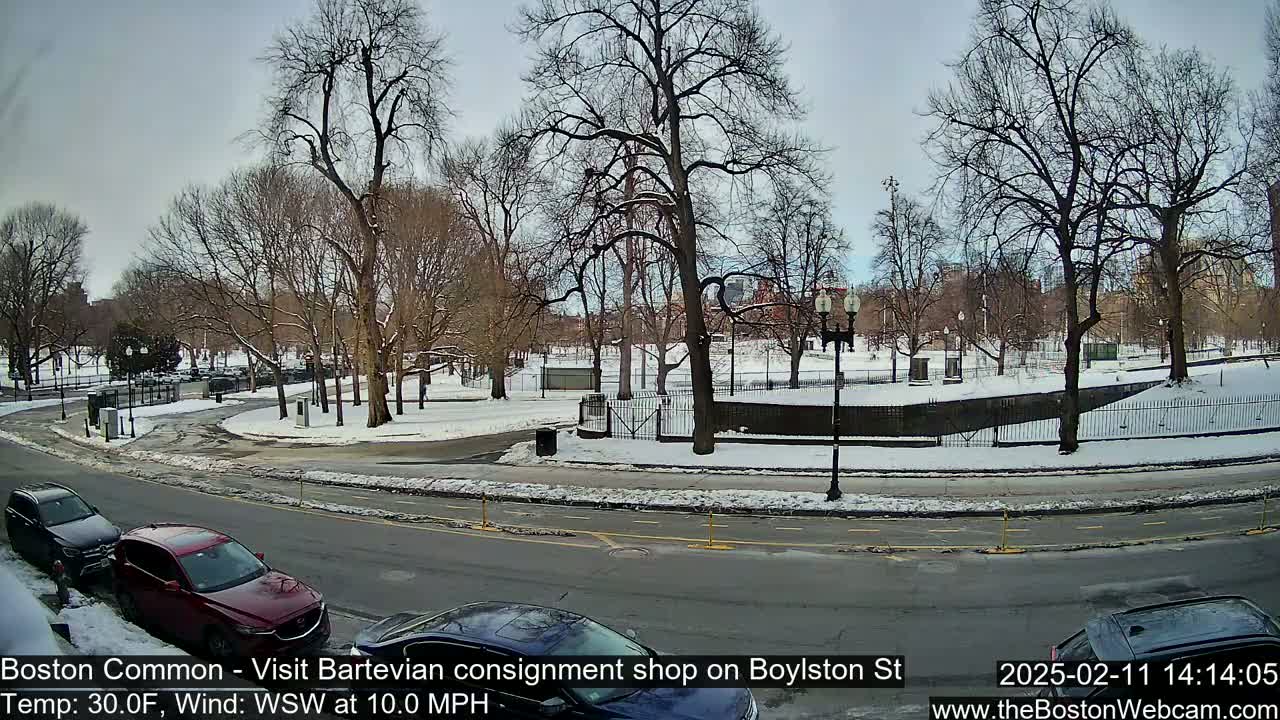 A snow-covered park with bare trees and a street with cars parked alongside it, under a cloudy sky.