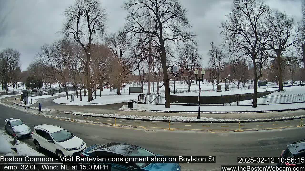 A snow-covered park with bare trees and a few cars parked along a road, under an overcast sky.