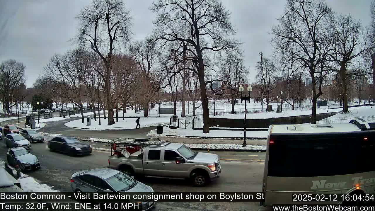 A partly snowy urban park scene with several cars and a pickup truck on a street beside it, under a gray, overcast sky.