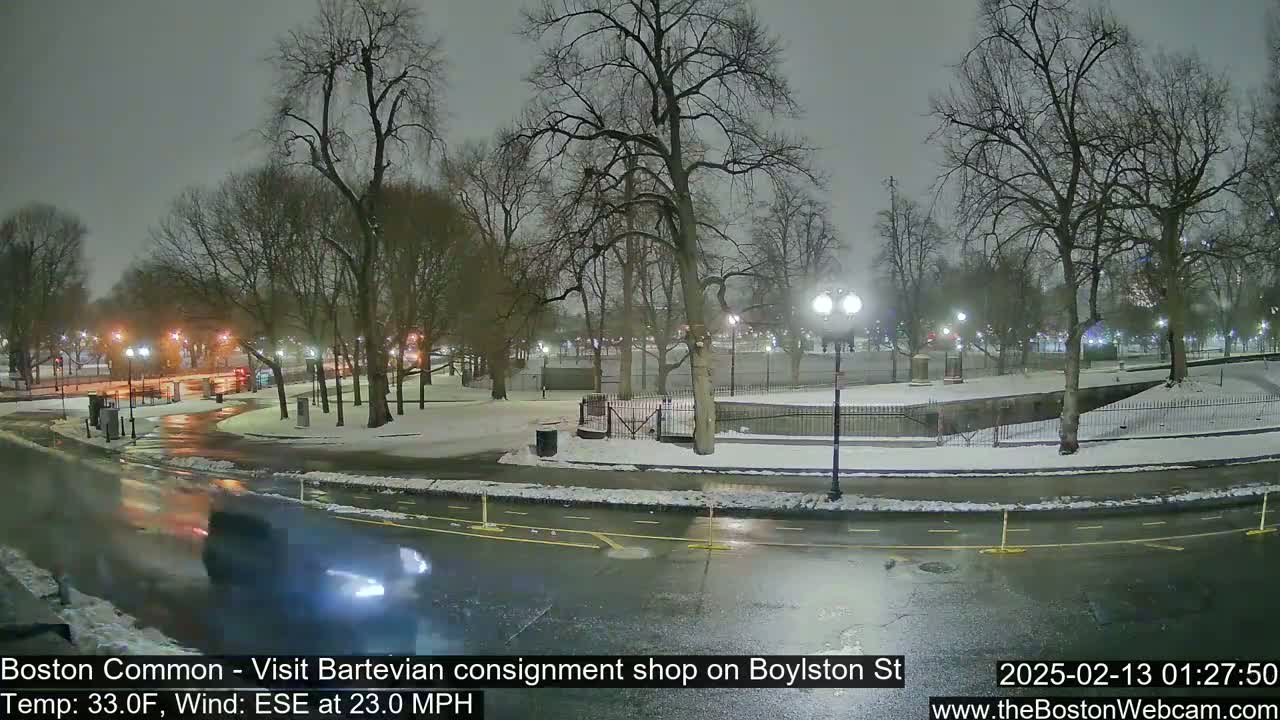 A snow-covered park at night is illuminated by streetlights, with a wet road visible in the foreground under a dark, cloudy sky.