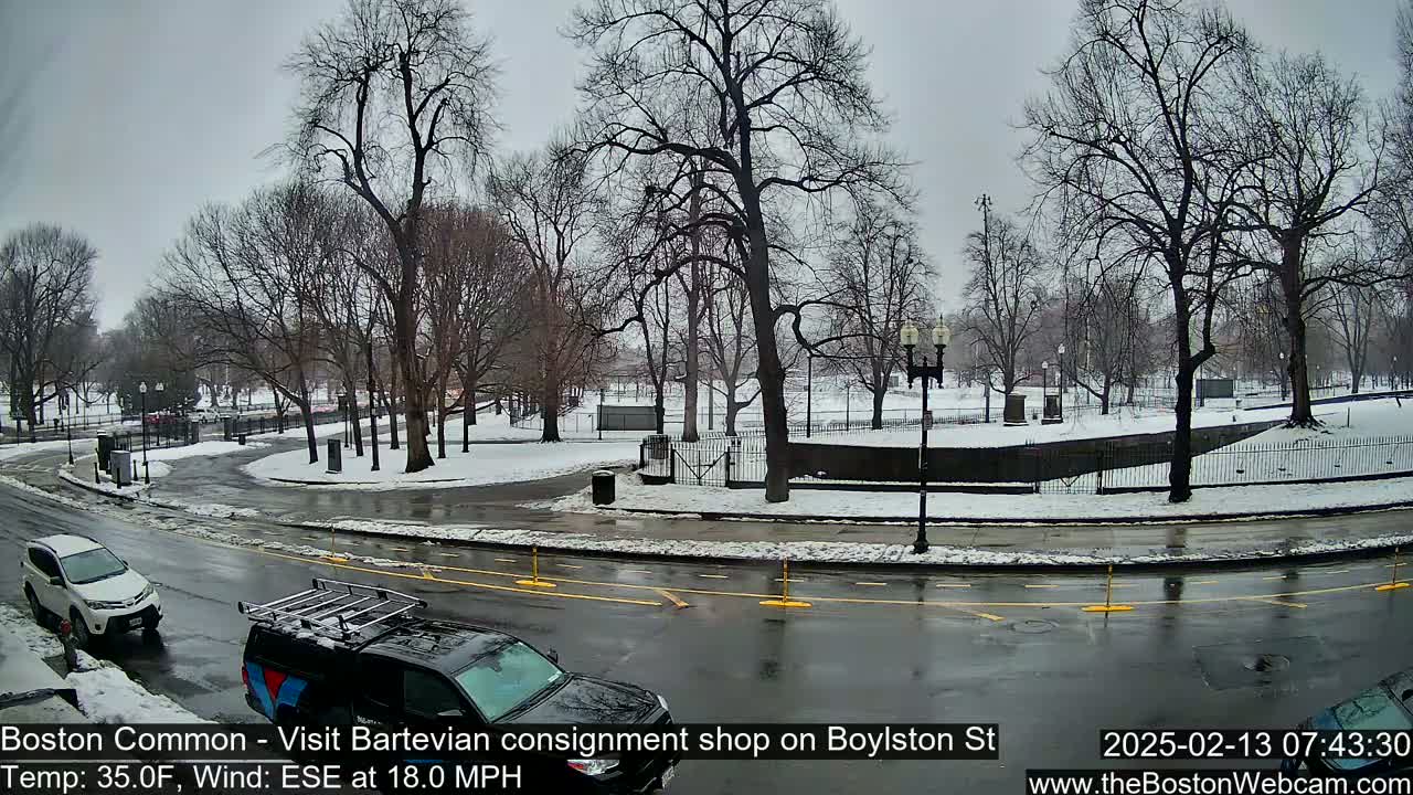 A snow-covered park with bare trees is visible across a wet street from a vantage point showing two vehicles, one parked and one driving, under an overcast sky.