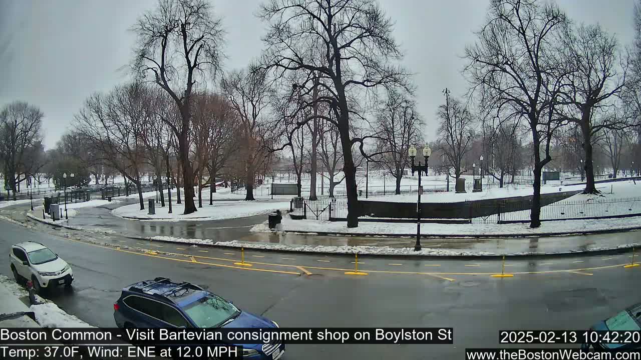 A partly snowy park with bare trees is visible from a street with two cars, under a gray sky.