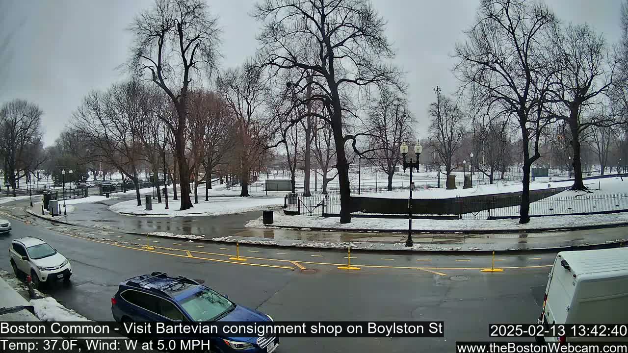 A partly snowy city park is visible from a street, with cars driving on a wet road under a gray sky.