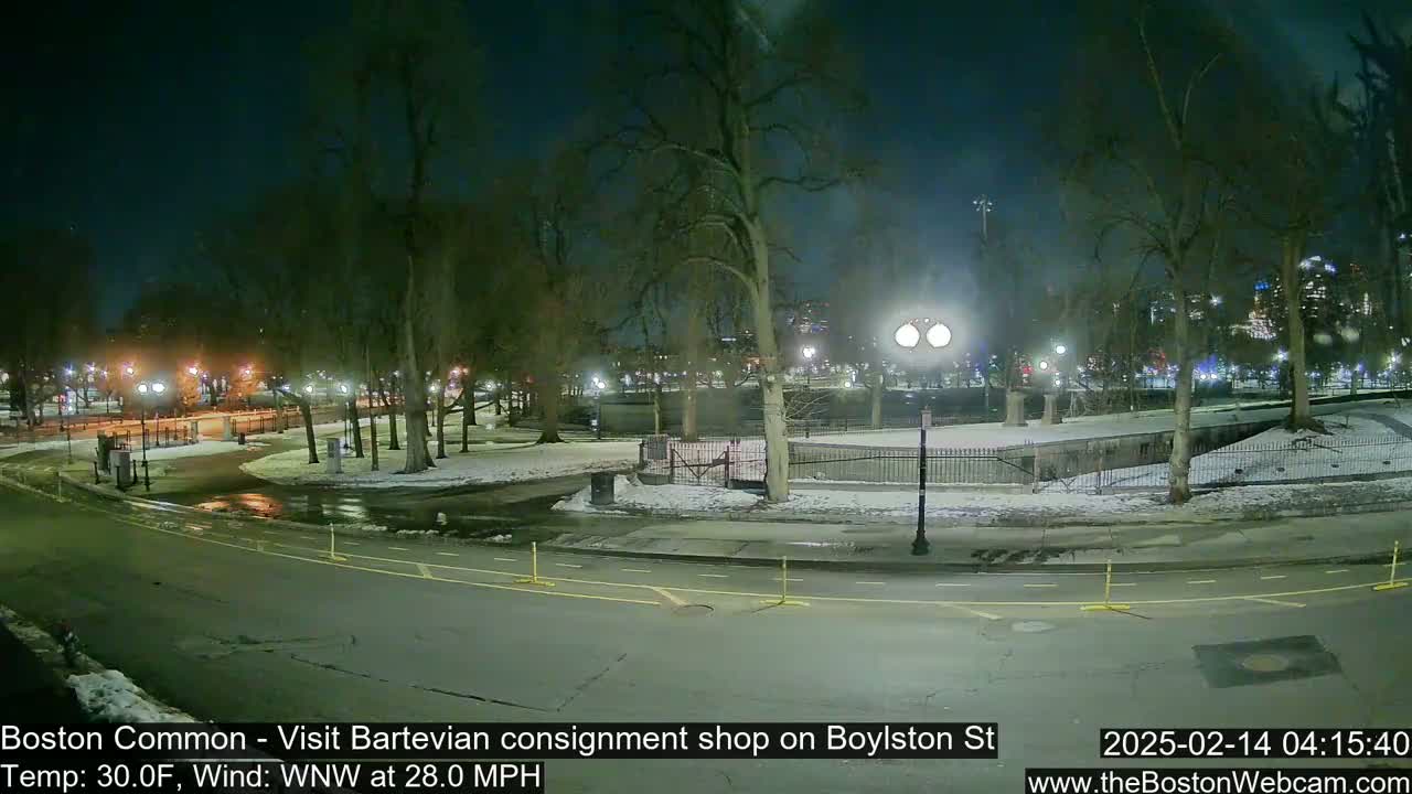 A nighttime view of a snow-dusted park with bare trees and streetlights, under a dark, cloudy sky with a strong wind.