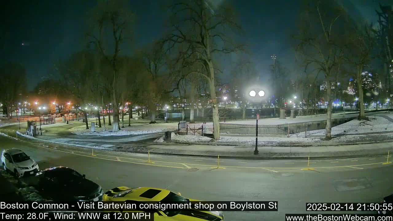 A snow-covered park at night, illuminated by streetlights, with cars parked along a road in the foreground.