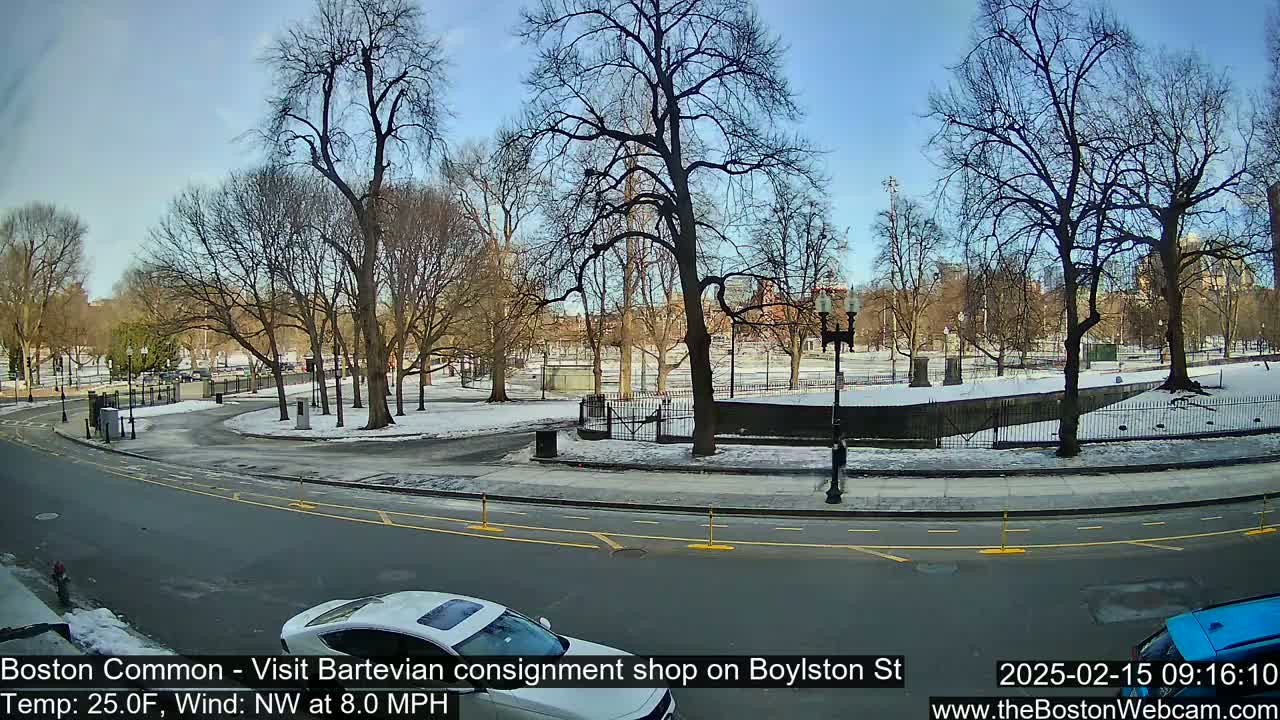 A snow-dusted park with bare trees and a roadway, under a clear blue sky.
