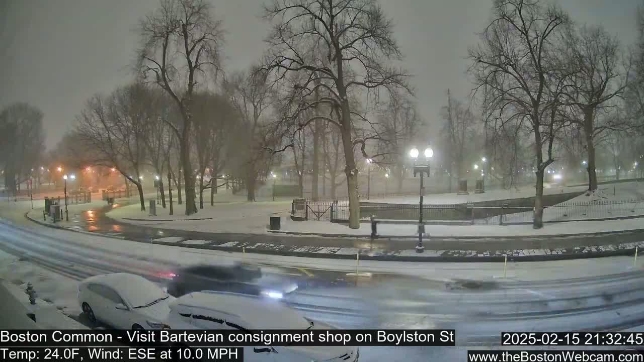 Snow falls on a park at night as cars drive along a snow-covered road.