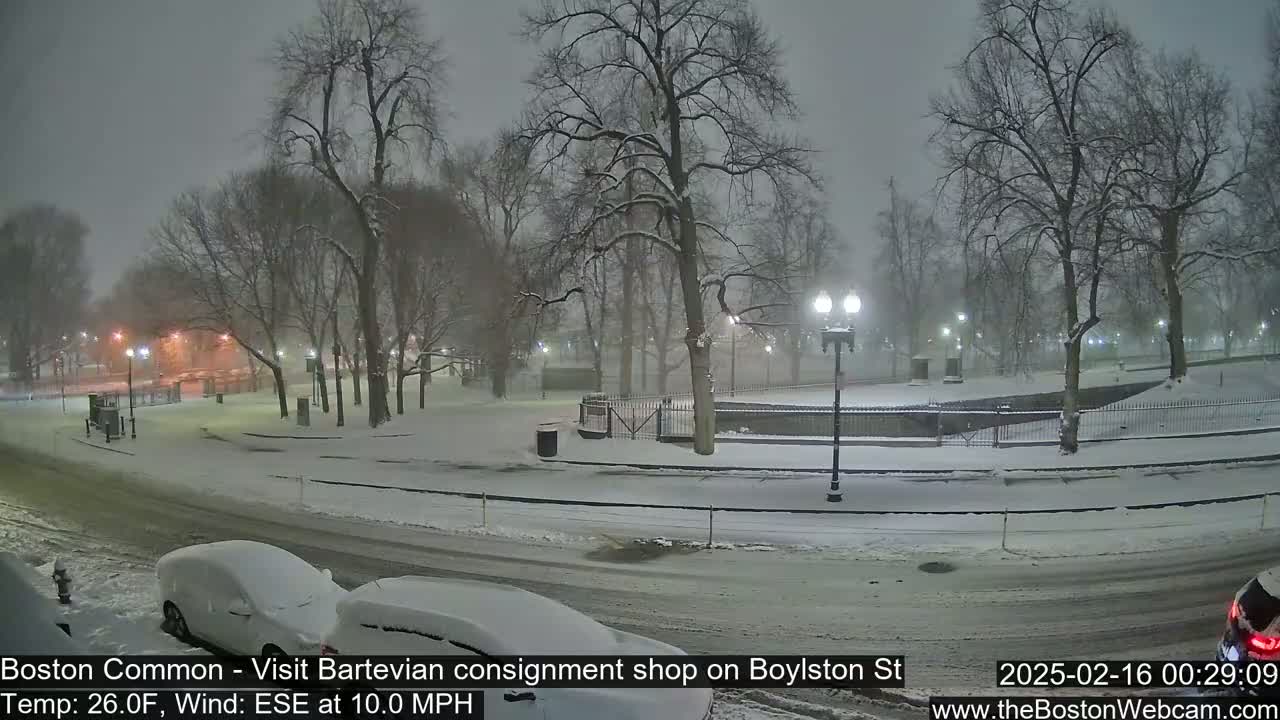 Snow-covered cars are parked on a snow-covered street next to a snow-covered park with leafless trees under a nighttime snowfall.