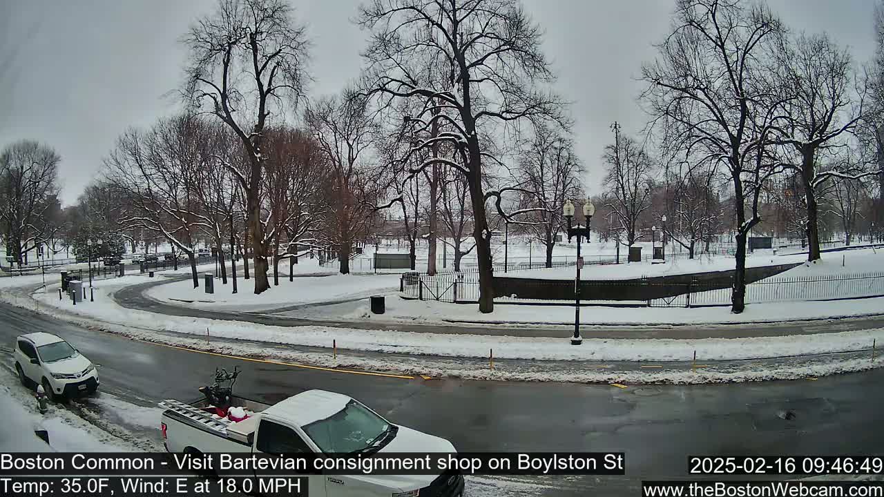 A snow-covered park with bare trees is visible across a street from a road where two vehicles are parked, under an overcast sky.