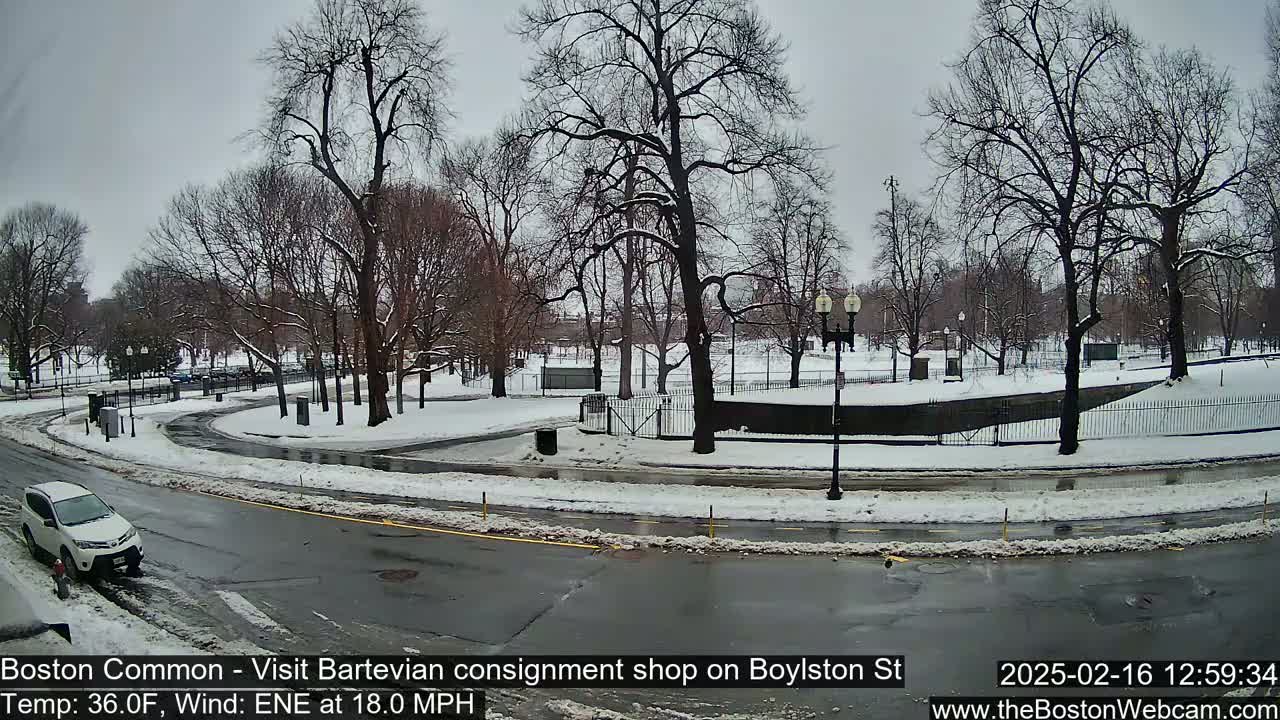 A snow-covered park with bare trees is seen from a street, where a car is parked near a curved roadway under a cloudy sky.