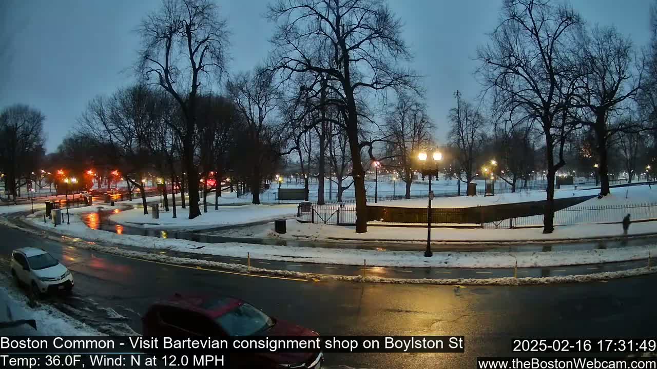 A nighttime view of a snow-covered park with a road and cars, under a dark, overcast sky with a north wind.