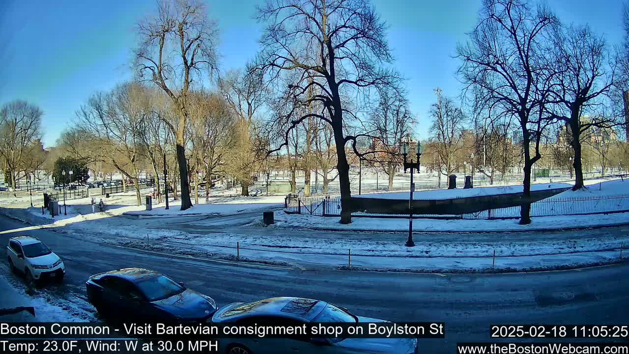 A snow-covered park with bare trees is visible beyond a street where two cars are parked, under a clear blue sky.
