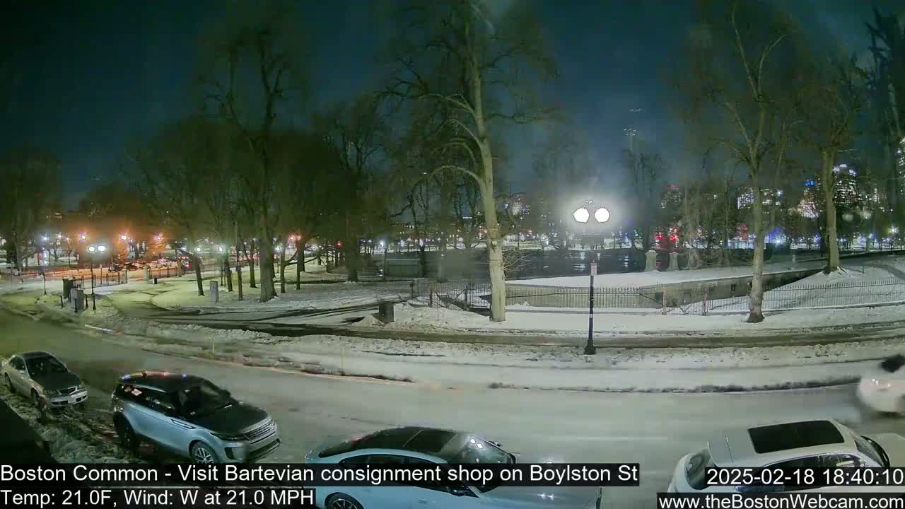 A snow-covered park at night, with cars parked along a street, under a clear sky.