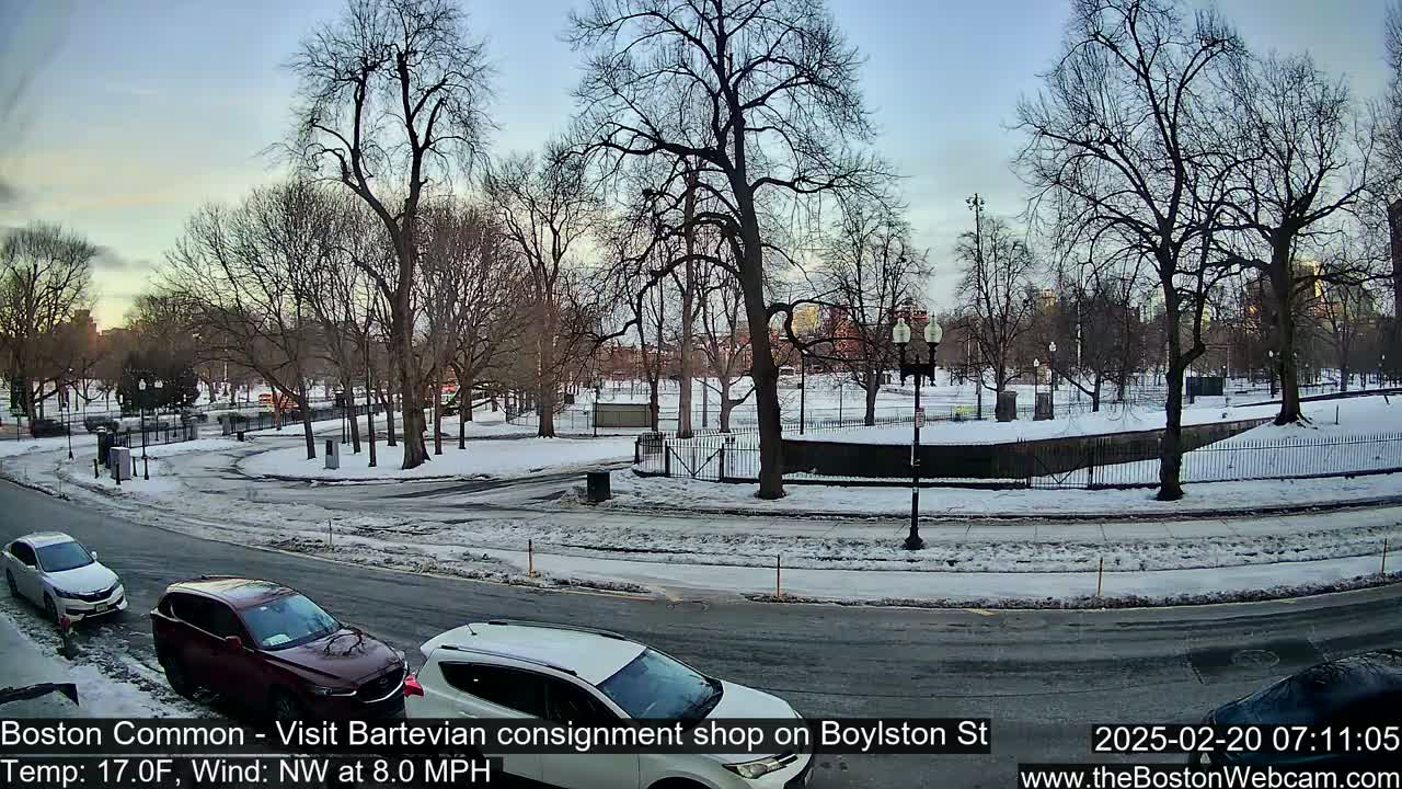 A snow-covered park with bare trees and parked cars on a street, under a twilight sky with a northwest wind.