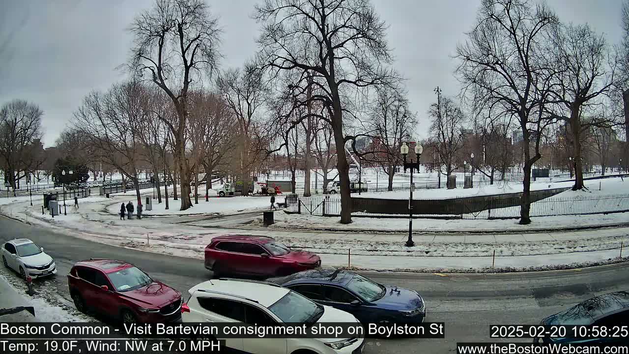 A snow-covered park with bare trees and several cars parked along a street, under an overcast sky.