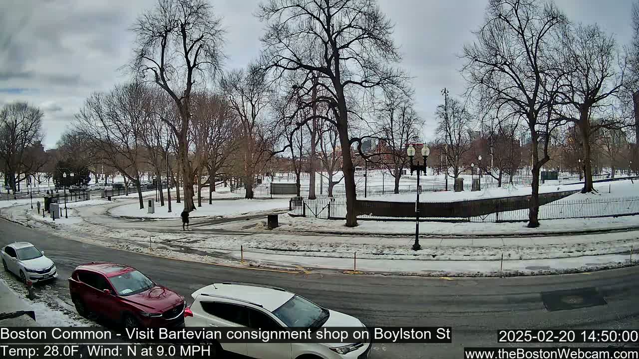 A snow-covered park with leafless trees is visible from a street with several parked cars, under an overcast sky.
