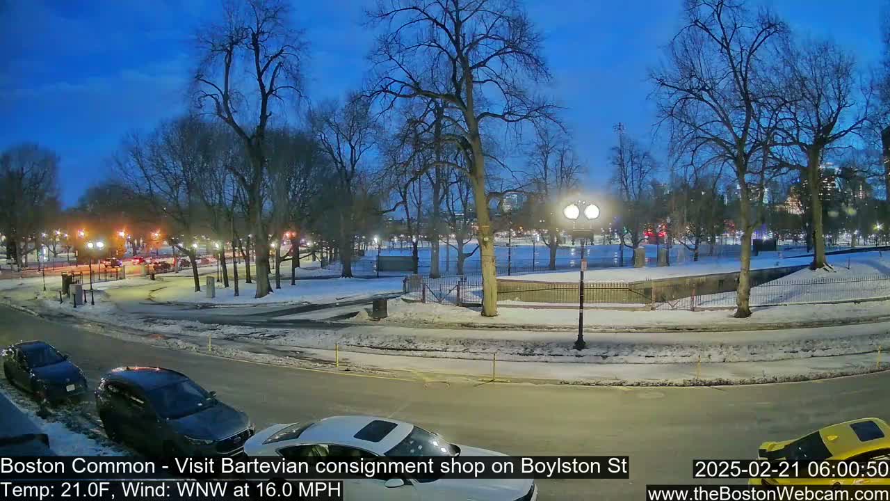 A snow-covered park at twilight with cars parked along a street, under a dark blue sky with a brisk wind.