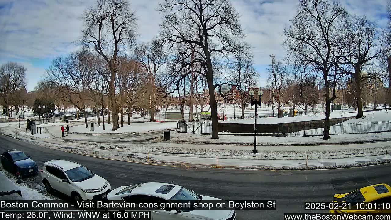 A snow-covered park with bare trees is seen from a street, with cars parked along the road and a few people walking in the park under a partly cloudy sky.