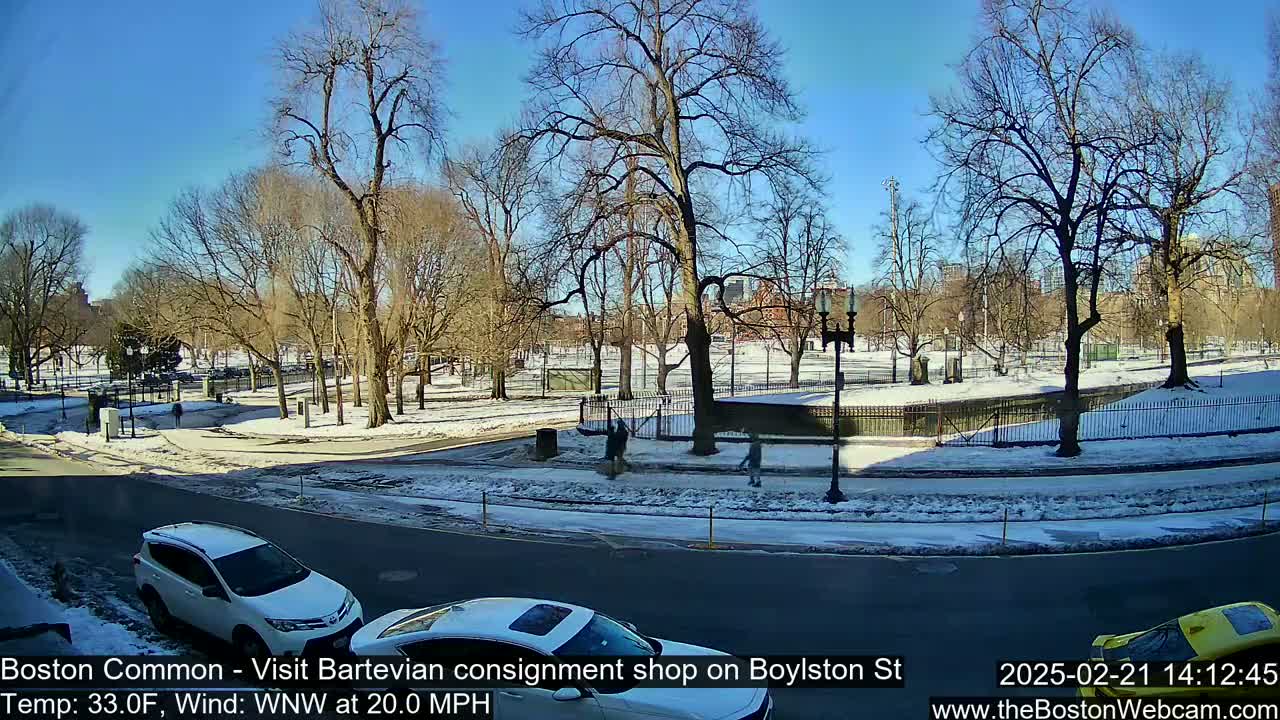 A snow-covered park with bare trees is visible from a street where two cars are parked and a yellow taxi is partially visible, under a clear blue sky.