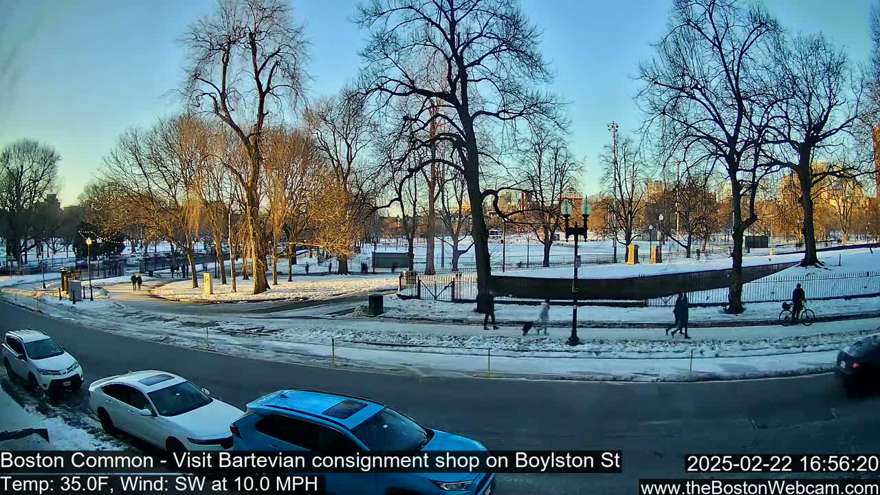 A snow-covered park with bare trees is seen from a street, where several people are walking and cycling, under a clear blue sky.