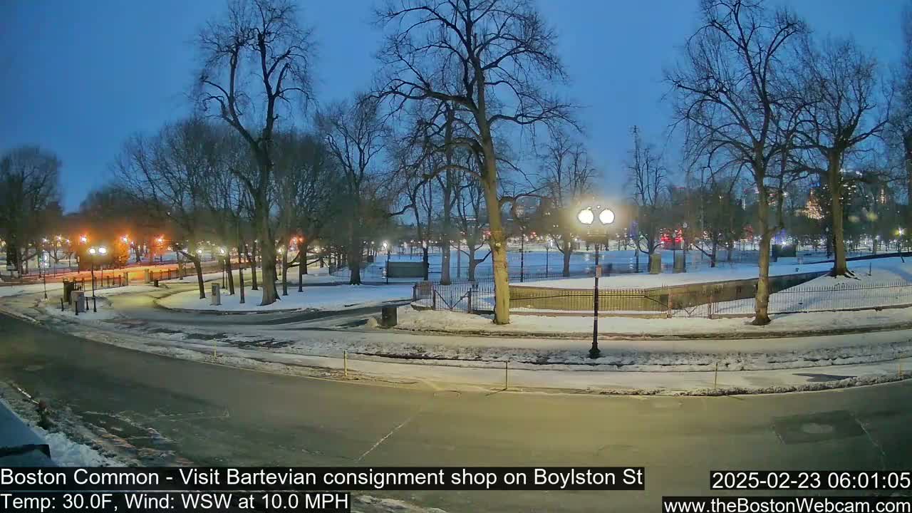 A snow-covered park at dusk, illuminated by streetlights, with bare trees and a curving roadway.