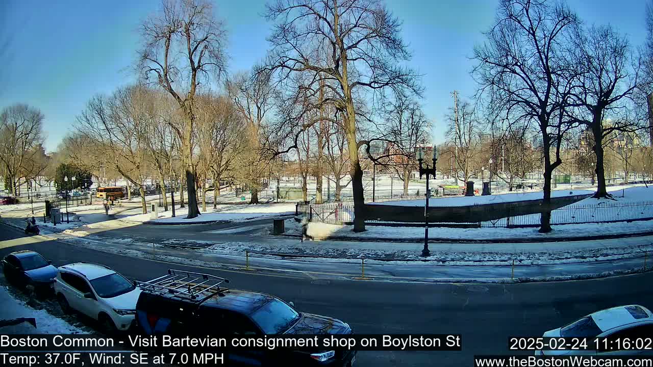 A sunny, snowy scene shows a park with bare trees surrounding a roadway with several cars parked along the curb.