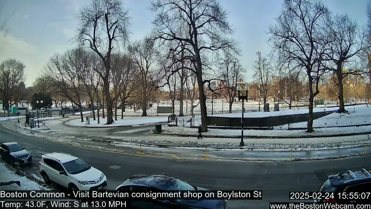 A partly sunny winter scene shows a snow-covered park with bare trees and a street with several cars; the road is partially icy.