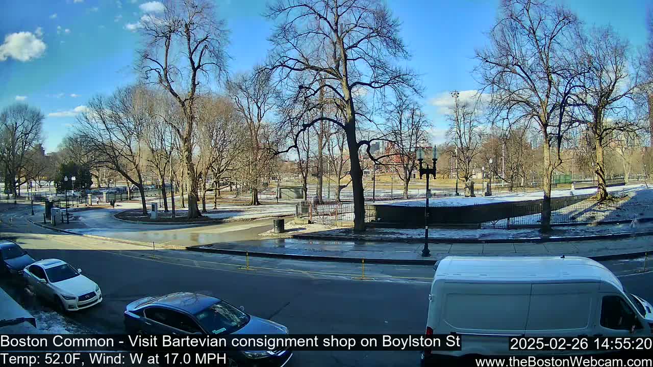 A sunny, windy day reveals a park with bare trees and patchy snow, alongside a city street with cars and a van.