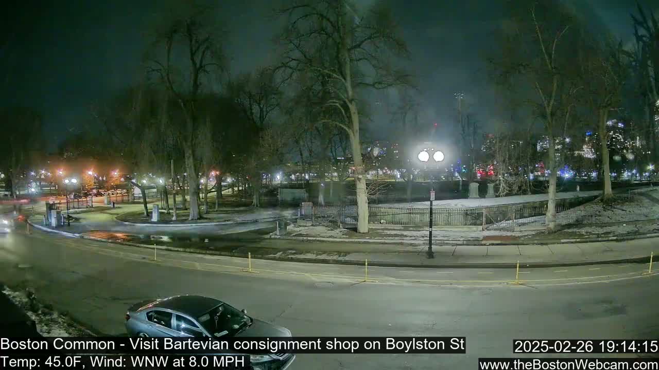 A nighttime view of a park, partially covered in snow, with a car driving on a road nearby, under a dark, clear sky.
