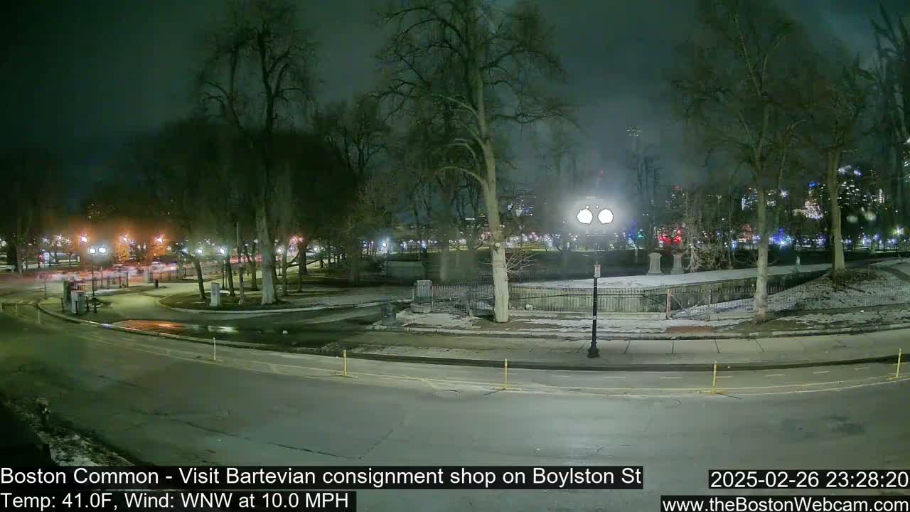A nighttime view of a park with bare trees, snow on the ground, and a street with cars in the distance under a cloudy sky.
