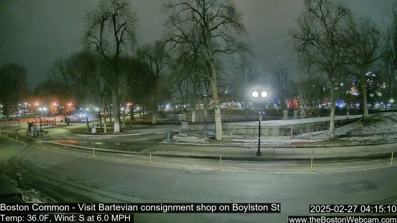 A nighttime view of a park with bare trees, snow-covered ground, and a paved road, under a cloudy sky.