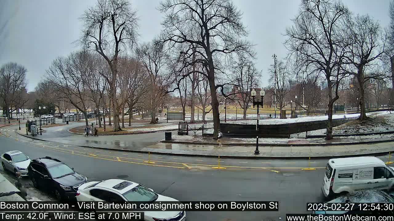 A wet, overcast day in a park with leafless trees, several cars parked along the road, and a few pedestrians.