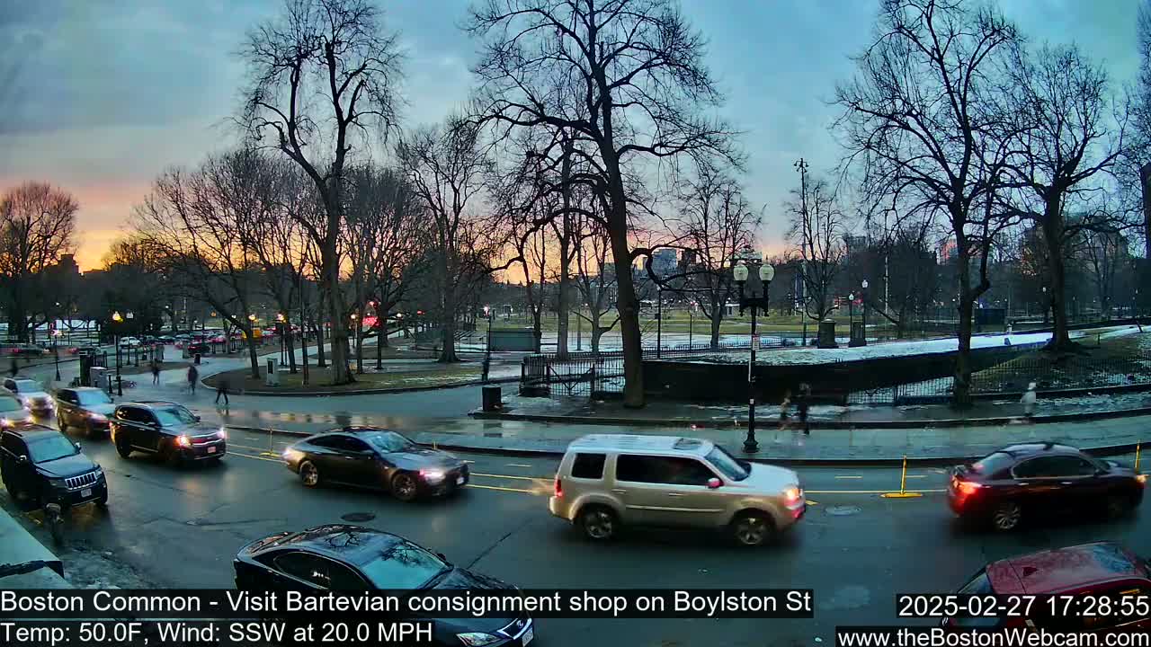 Cars drive on a wet street at sunset past a park with bare trees, under a windy sky.
