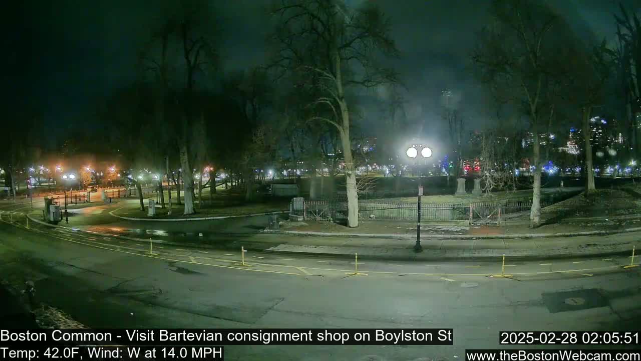 A nighttime view of a park with bare trees, a roadway, and distant city lights under a dark, overcast sky.