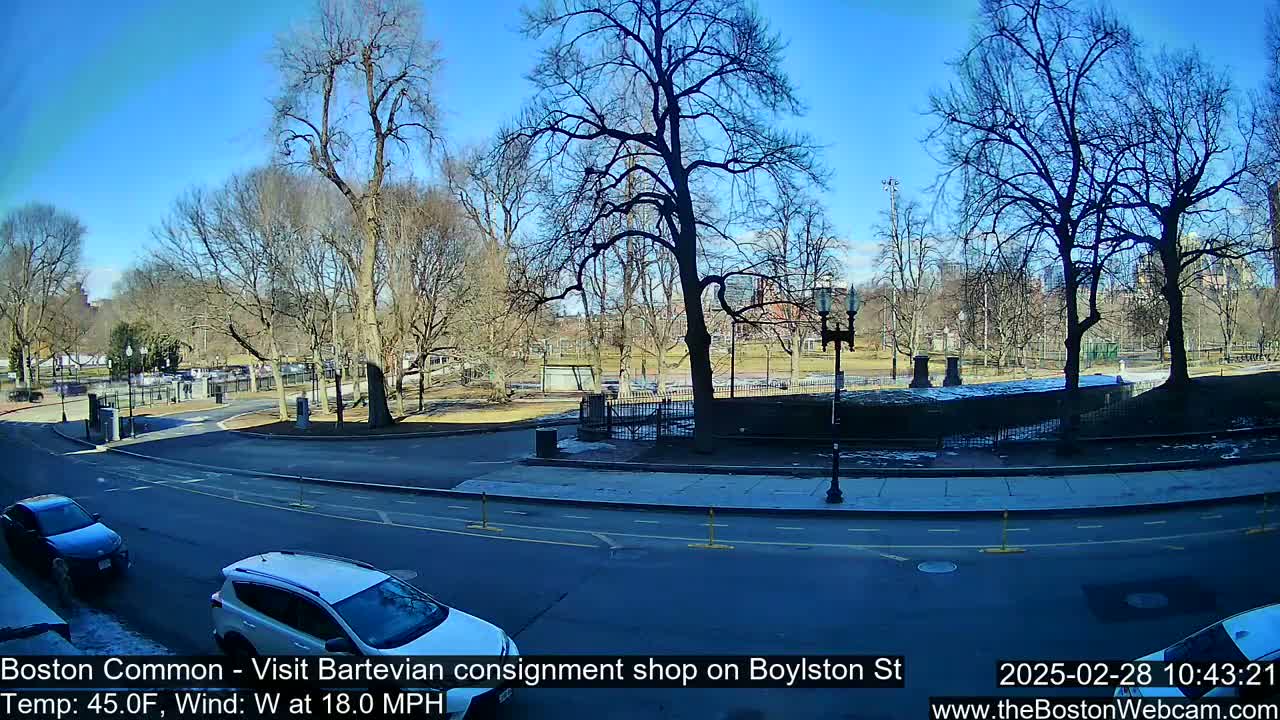 A sunny day with a westerly wind shows a city street near a park with bare trees and a few cars.
