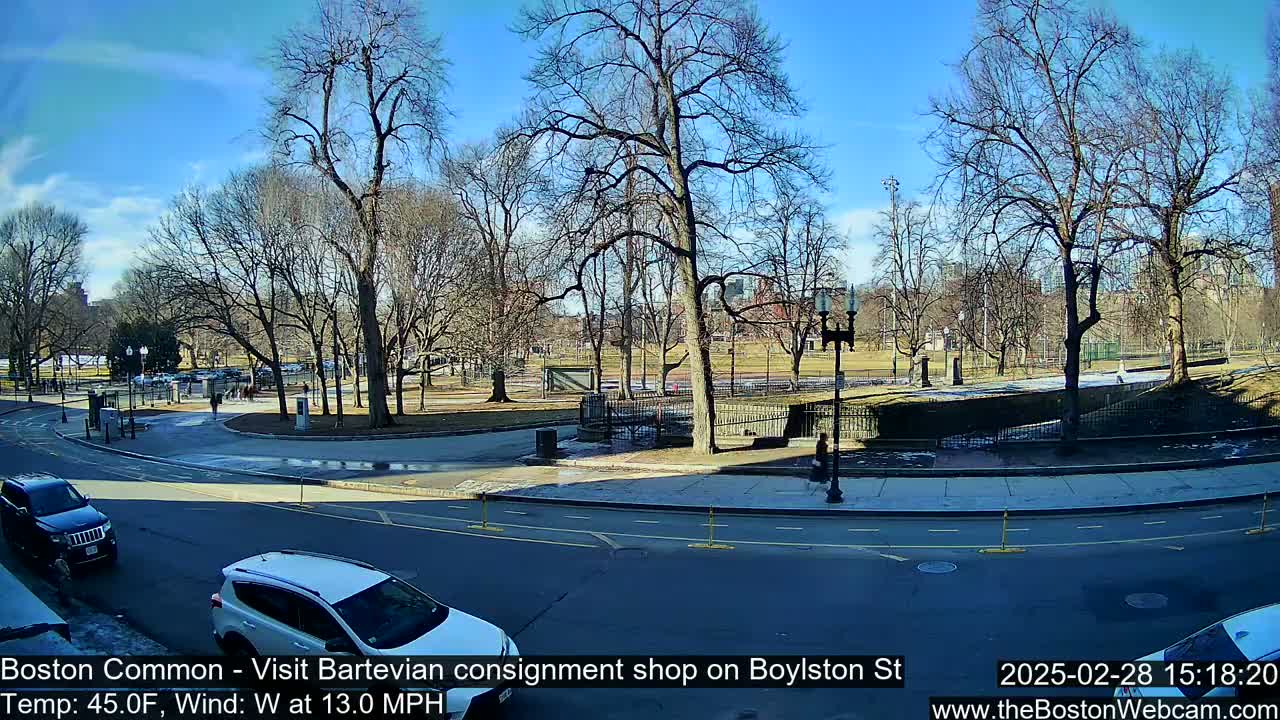 A sunny, windy day in a park with bare trees, showing a street with cars and a pedestrian path alongside.