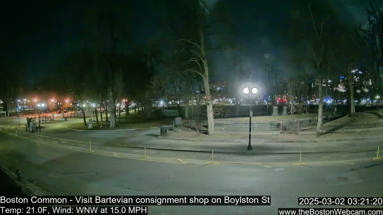 A nighttime view of a park with bare trees and a road, under a dark sky with a 15 mph wind.