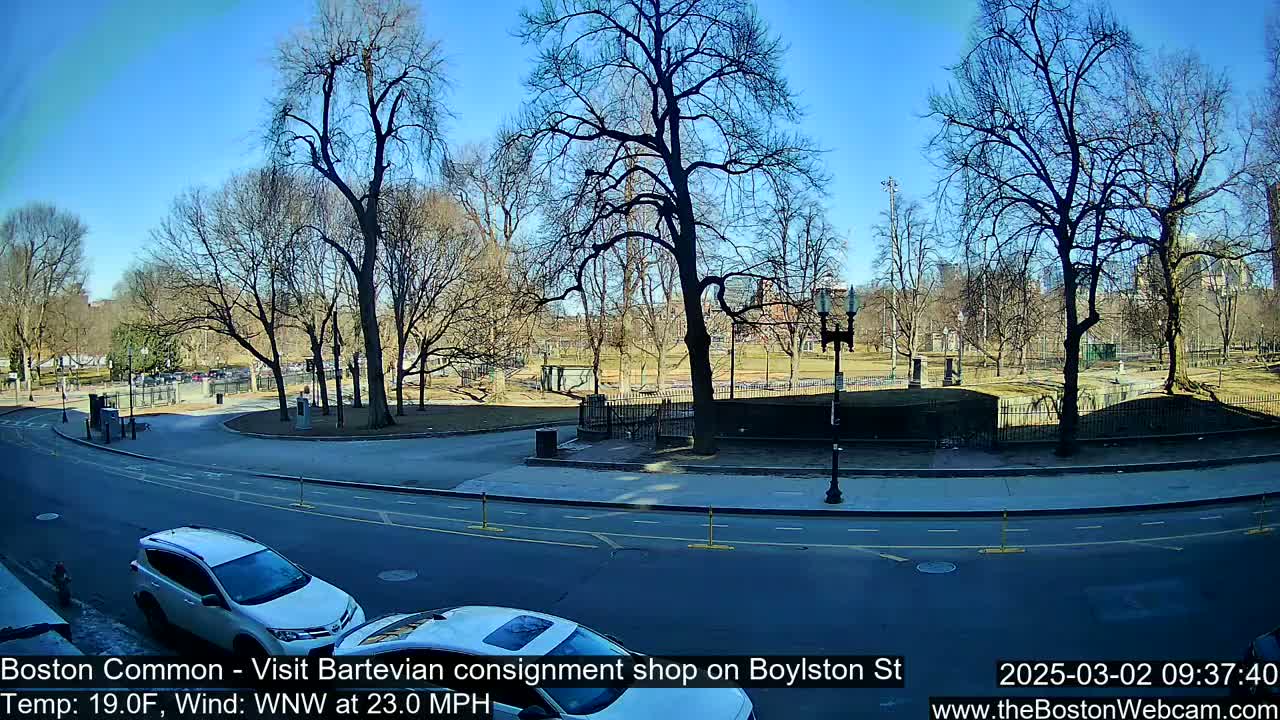 A sunny, windy day in a park with bare trees, showing a street with cars parked near a park entrance.