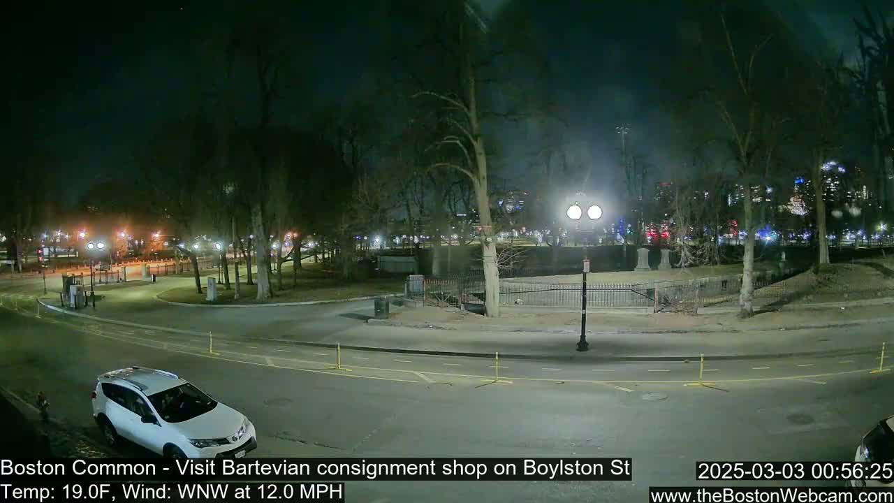 A nighttime view of a park with a road and a vehicle, under a clear sky with a 19°F temperature and a 12 mph wind from the west-northwest.